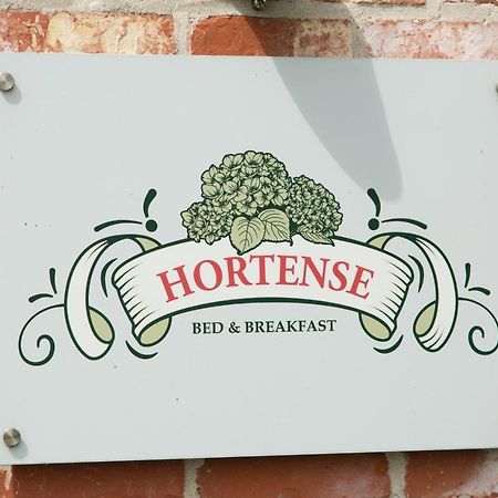 Koekelare B&B Hortense المظهر الخارجي الصورة